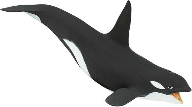 The Safari Ltd. Killer Whale (Orca) Figurine - Detailed 7" Plastic Model Figure - Fun Educational Play Toy for Boys, Girls & Kids Ages 3+