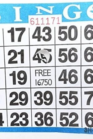 The Punch-out Bingo Cards (250 Per Pack)