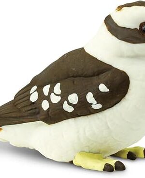 The Safari Ltd. Kookaburra Figurine - Realistic 3" Bird Figure - Educational Toy for Boys, Girls, and Kids Ages 3+