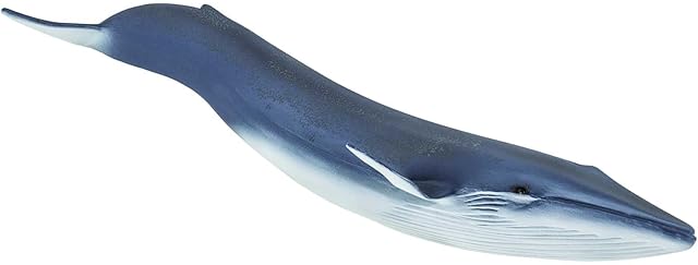 The Safari Ltd. Blue Whale Figurine - Detailed 11" Plastic Model Figure - Fun Educational Play Toy for Boys, Girls & Kids Ages 3+