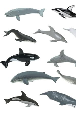 The Safari Ltd. Whales & Dolphins TOOB - 12 Mini Figurines: Blue, Beluga, Gray, Killer, Humpback & Sperm Whale, Bottlenose, Common, Spotted Dolphins, Narwhal - Educational Toy Boys, Girls & Kids Ages 3+
