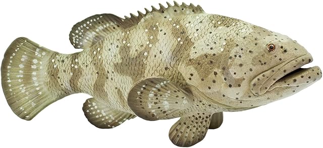 The Safari Ltd. Goliath Grouper Figurine - Detailed 5.75" Plastic Model Figure - Fun Educational Play Toy for Boys, Girls & Kids Ages 3+