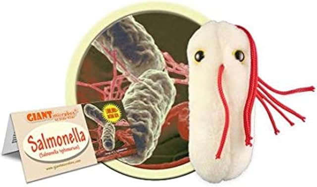 The GIANTmicrobes Salmonella Plush -Learn About Food Safety, Bacteria and Gut Health with this Unique Fun Gift for Friends, Families, Teachers, Chefs, Doctors, Gastroenterologists, Students and Scientists