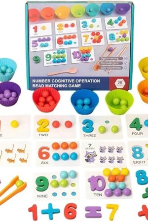 The Rainbow Sorting Beads for Kids - Montessori Learning Toy for Fine Motor Skills