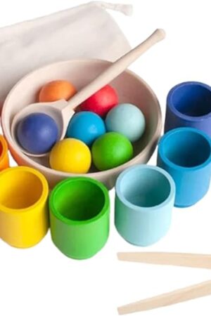 The Rainbow Balls in Cups Number Counting Sensory Wooden Develop Math Skills Rainbow