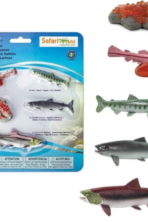 The Safari Ltd. Life Cycle of a Salmon Set - 5 Hand-Painted, Lifelike Model Figures - Fun Educational Toy for Boys, Girls & Kids Ages 4+