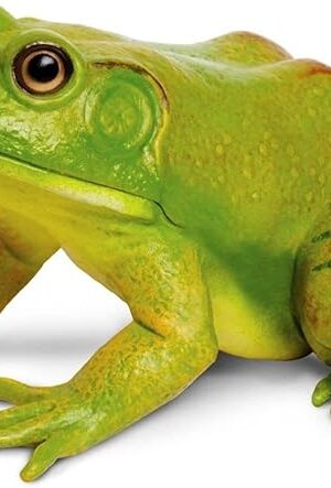 The Safari Ltd. American Bullfrog Figurine - Realistic 4.75" Model Figure - Educational Toy for Boys, Girls, and Kids Ages 18M+
