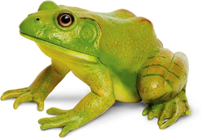 The Safari Ltd. American Bullfrog Figurine - Realistic 4.75" Model Figure - Educational Toy for Boys, Girls, and Kids Ages 18M+