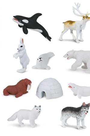 The Safari Ltd Arctic TOOB With 10 Fun Figurines, Including A Harp Seal, Husky, Caribou, Arctic Rabbit, Killer Whale, Walrus, Arctic Fox, Beluga Whale, Igloo, And Polar Bear – For Ages 3 and Up