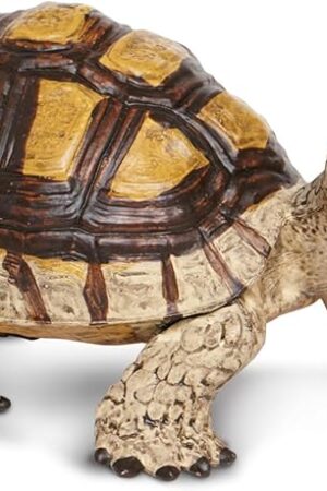 The Safari Ltd. Incredible Creatures Tortoise Figurine - Detailed 4.75" Plastic Model Figure - Fun Educational Play Toy for Boys, Girls & Kids Ages 18M+
