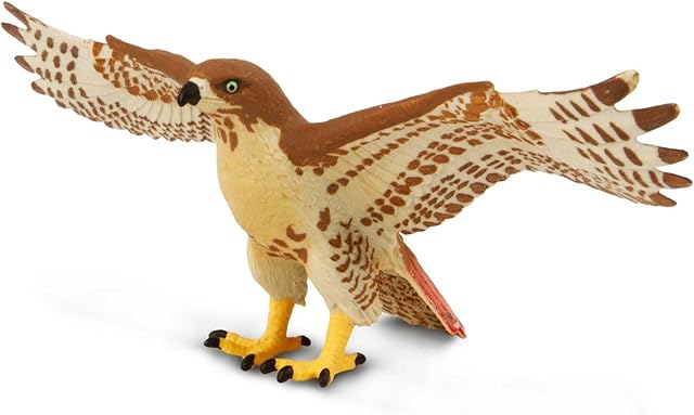 The Safari Ltd. Red-Tailed Hawk Figurine - Detailed 5.75" Plastic Model Figure with Wingspan - Fun Educational Play Toy for Boys, Girls & Kids Ages 3+