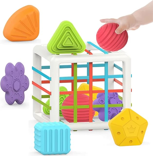 The MINGKIDS Montessori Toys for 1 Year Old, 6 Pc Multi Sensory Shape, Toddler Developmental Learning Birthday Gifts, Baby Toys 12 Month