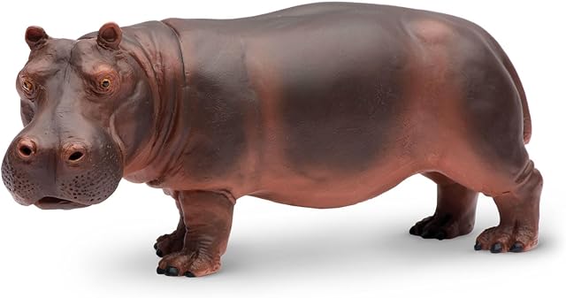 The Safari Ltd. Hippopotamus Figurine - Realistic 5.5" Hippo Figure - Educational Toy for Boys, Girls, and Kids Ages 3+