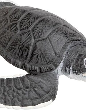 The Safari Ltd. Baby Sea Turtle Figurine - Lifelike 5.5" Model Figure - Educational Toy for Boys, Girls, and Kids Ages 18M+