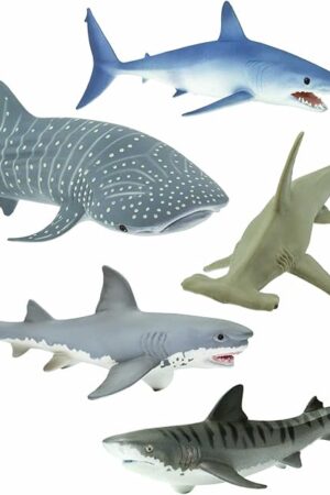 The Safari Ltd. Shark Toy Set - Figurines of Great White, Tiger, Whale Shark, Hammerhead, and Mako - Play Set for Boys, Girls & Kids 3+