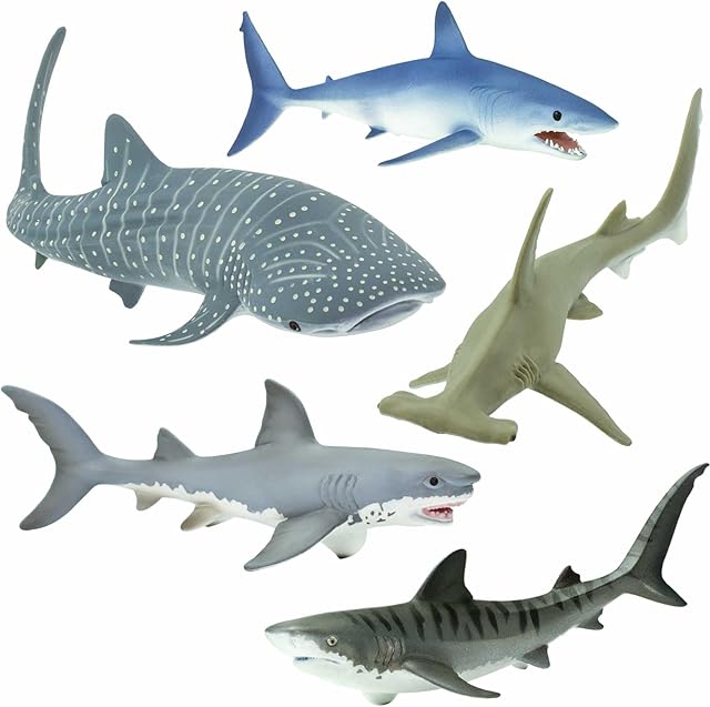 The Safari Ltd. Shark Toy Set - Figurines of Great White, Tiger, Whale Shark, Hammerhead, and Mako - Play Set for Boys, Girls & Kids 3+