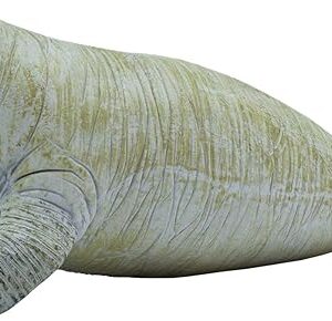 The Safari Ltd. Manatee Figurine - Detailed 6" Plastic Model Figure - Fun Educational Play Toy for Boys, Girls & Kids Ages 3+