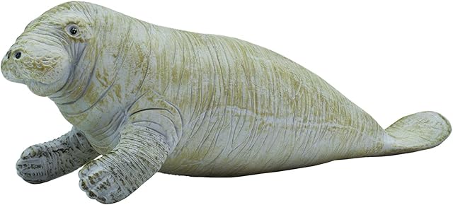 The Safari Ltd. Manatee Figurine - Detailed 6" Plastic Model Figure - Fun Educational Play Toy for Boys, Girls & Kids Ages 3+