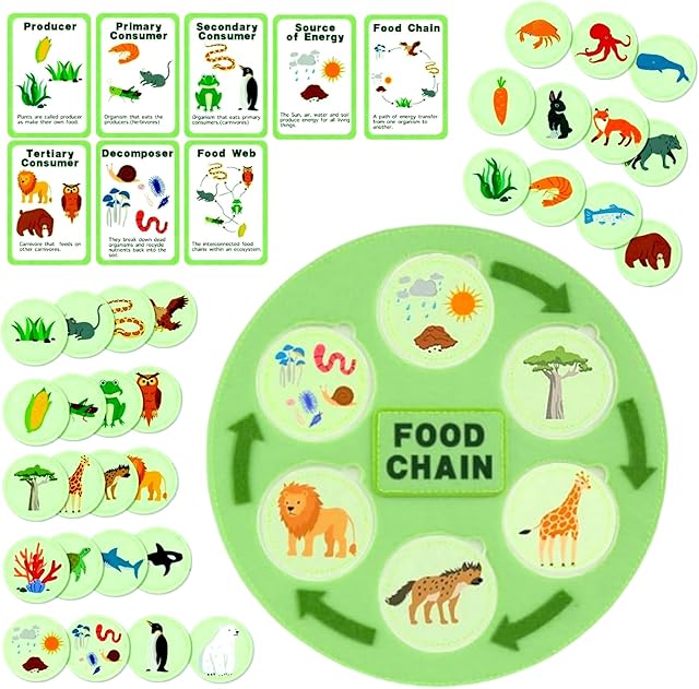 The Life Cycle Toys for Kids-Food Chain & Food Web Science Education Toys - Montessori Animal Life Cycle Learning Toys for Toddlers-Preschool Classroom Must-Have Science Kits for Kids