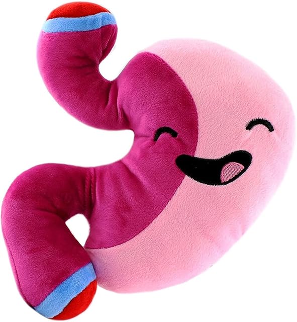 The Plush Stomach - Barry The Sleeve - 10-Inch After Surgery Pal, Bariatric Gastric Bypass Sleeve; Surgery Education, Surgeon Gift