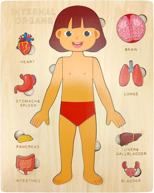 The Wooden Body Puzzles for Kids, Toddler Montessori 14 Pieces Girl Anatomy Puzzle, Human Body Learning Toy with Internal Organs Early STEM Educational Toy for Boys and Girls Ages 3 4 5 6 Years Old