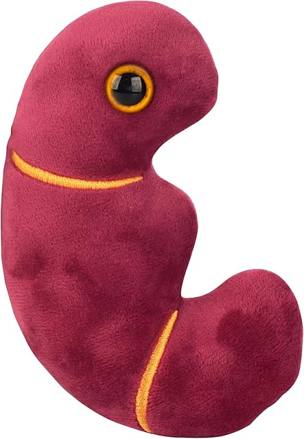 The Giantmicrobes Kidney Plush, Kidney Stuffed Animal, Kidney Transplant Gifts, Kidney Donor Gifts, Kidney Pillow, Urology Gifts, Nephrology Gifts, Dialysis Nurse Gifts, Gifts For Urologist, Kidney Toy