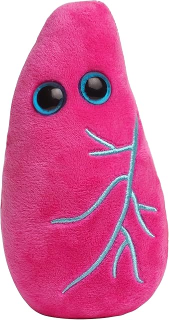 The GIANT MICROBES Lung Plush, Respiratory Therapist Gifts, Pulmonology Gifts, Respiratory Therapy, Lung Cancer Survivor Gift, Anatomy Model