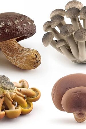 The Realistic Mini Life Cycle of Mushroom Figure Toy Set 4PCS Mushroom Decor for Diorama Projects Kids Birthday Gift Learning Toy