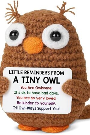 The Positive Crochet Animals Owl Gifts for Friends Coworkers, Inspirational Cheer Up Gifts for Women Men, Emotional Support Crochet Owl with Little Reminders Card, Christmas Birthday Gift