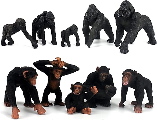 The FUNSHOWCASE African Jungle Animals Toy Chimpanzees and Gorilla Figure Realistic Plastic Figurine Playset Lot 10-Piece
