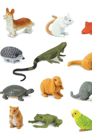 The Safari Ltd. Pets TOOB - 12 Figurines of Household Pets - Educational Toy Figures for Boys, Girls and Kids Ages 3+