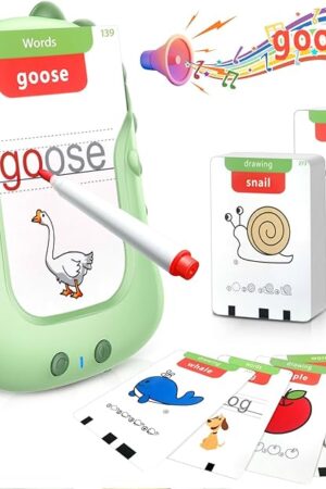 The Reusable Writing & Drawing Talking Flash Cards for Toddlers - 168 Phonics Learning Cards with 8 Color Pens, Montessori Sensory Toys for Autism, Speech Therapy, Preschool Education - Gift for Ages 2-6.