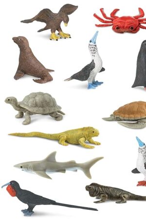 The Safari Ltd. Galapagos Wildlife TOOB - Figurines of Seal, Blue-Footed Booby, Tortoise & More - Fun Educational Play Toy for Boys, Girls & Kids Ages 3+