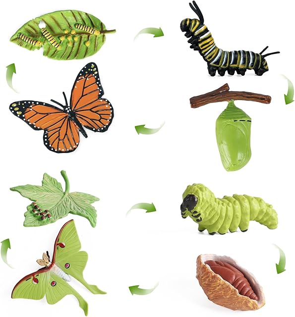 The SIENON 4pcs Butterfly Life Cycle Toy Figurines and 4pcs Actias Ningpoana Figure-Plastic Caterpillar to Monarch Butterfly Growth Cycle Toy Insect Figures Teaching Tools School Project for Kids