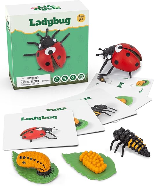 The Life Cycle Kit Montessori - Realistic Figurine Toys, Kids Animal Matching Game with Ladybug, Stocking Stuffers Science, Fun for Learning & Education Toys, for Children 3+