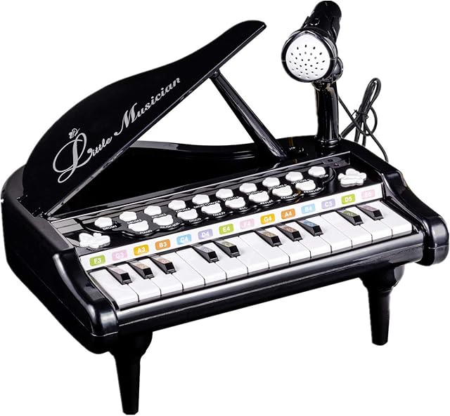 The Love&Mini Toy Piano for Toddler - Birthday Gift for 1 2 3 4 Year Old Girls and Boys, 24 Keys Multi-Functional Baby Piano Toy with Microphone