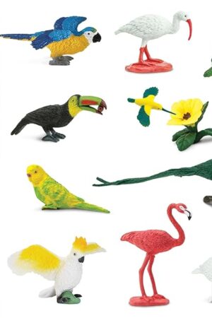 The Safari Ltd. Exotic Birds TOOB - 10 Figurines: Parakeet, Quetzal, Macaw, Hummingbird, Toucan, Cockatoo, Flamingo, Snowy Owl, Parrot - Educational Toy Figures For Boys, Girls & Kids Ages 3+