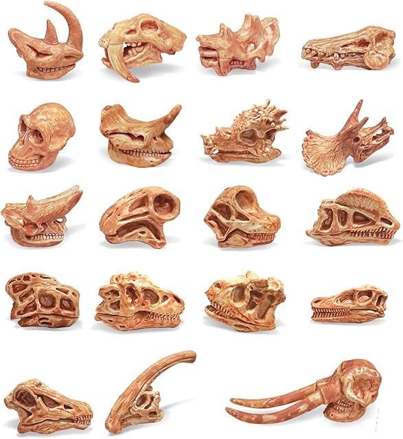 The 19 PCS Mini Mammal Skull Set Realistic Dinosaur Bones Prehistoric Animals Head Skeleton Playsets Ancient Daeodon Mastodon Collection Figures Models