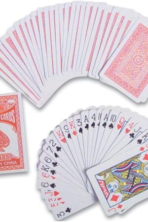 The Rhode Island Novelty 2.25 Inch x 3.5 Inch Playing Cards, 24 Packs