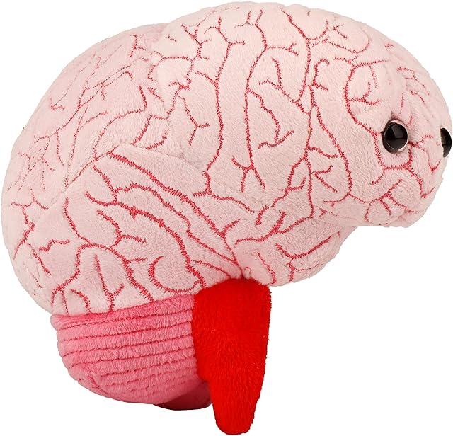 The GIANT MICROBES Brain Plush, Gift for Med Student, Gifts for Neurologist, Brain Surgery Recovery, TBI Awareness, Neurology Gifts, Neuroscience Gift, Mental Health Awareness