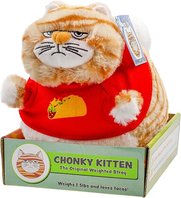 The Chonky Kitten Plush, Mini Fat Kitty Cat Stuffed Animal Toy