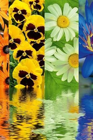 The Ravensburger Floral Reflections 500 Piece Jigsaw Puzzle for Adults - 12000213 - Handcrafted Tooling, Made in Germany, Every Piece Fits Together Perfectly