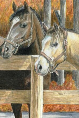 The Royal Brush Color Pencil by Number Kit, 8.75 by 11.75-Inch, Buck's Pal