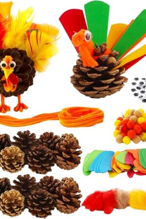 The Qyeahkj Thanksgiving Pinecone Trukey Craft Kit for Kids (Makes 16), Fall Crafts Ornament for Kids Teens Adults Thankful Dinner Party Activity Supplies Classroom Project Table Centerpiece Decorations