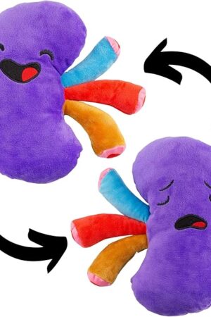 The Plush Kidney, Stuffed Body Organ Toy for Get Well Gift, Health Education and More