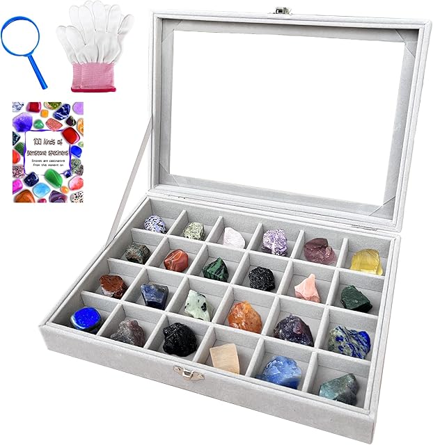 The Rock Collection Display Case, Crystal Storage Box with 24 Grids and Gem Knowledge Handbook for Kids, Gem and Stone Collection Case for Display