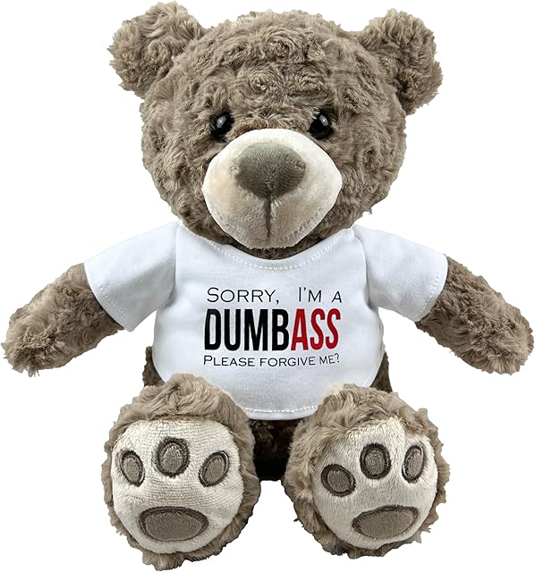 The I’m Sorry Teddy Bear 10? Sitting | I Love You Im Sorry Plushie | Im Sorry Gifts for Her Stuffed Animal