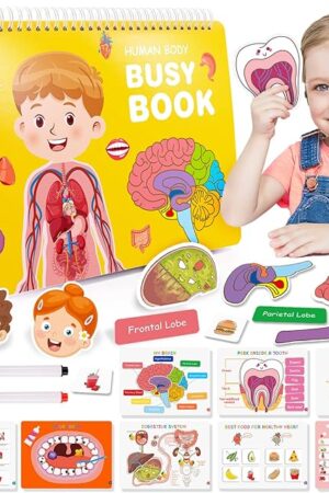 The Preschool Montessori Human Body Busy Book for Kids Ages 4-8 - Birthday Gifts for Boys Girls - Kindergarten Learning Activities Educational Toys - Travel Toys for 5-7 Year Olds