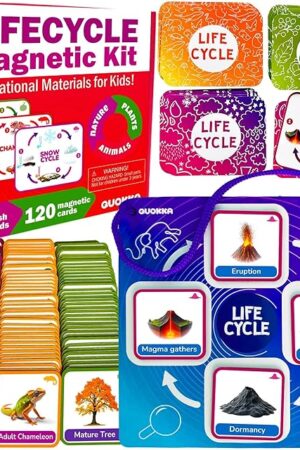 The QUOKKA Life CycleToys for Kids - 30 Flashcards Toddler Science Kit Ages 2-4 - Pre-k Plant Animals Nature Learning Materials 3-5 - 120 Magnetic Flash Cards for Preschool and School (Part 2)