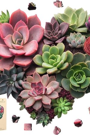 The Puzzles for Adults 200 Pieces,Heart Flower Succulent Wooden Jigsaw Puzzles for Adults and Kids,Extra Thick 5mm,Fun Challenging Creative Gift,11.2"*10.8"